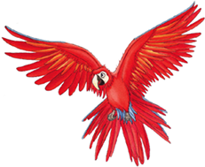 Red parrot from the children's book
